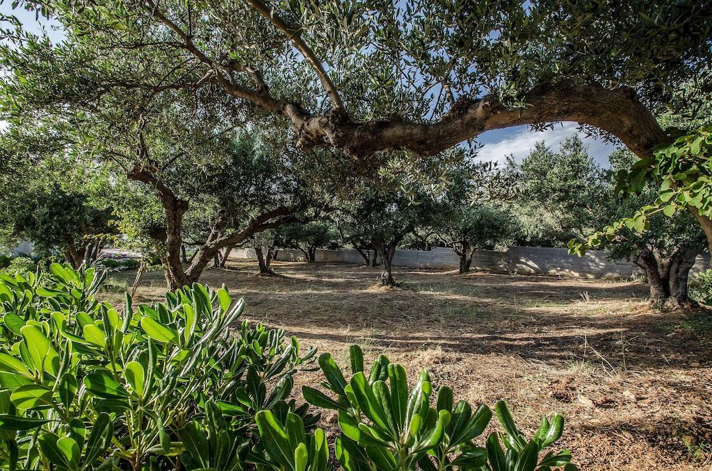 Anemon Villas Kissamos Bagian luar foto